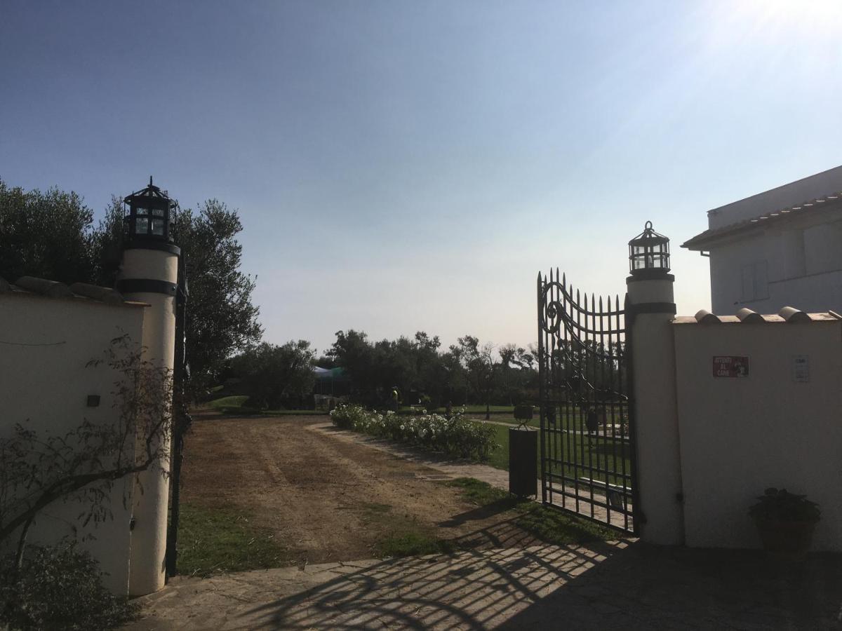 Villa Olga Tarquinia Extérieur photo