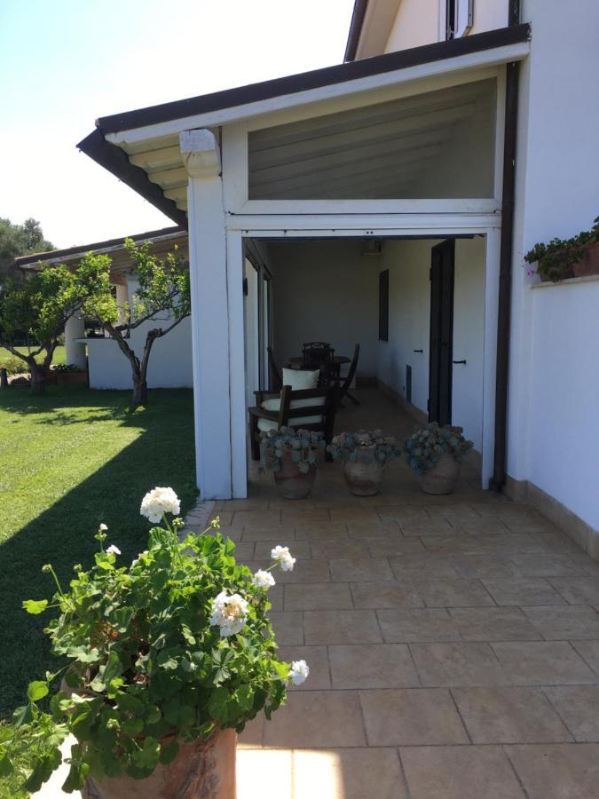 Villa Olga Tarquinia Extérieur photo