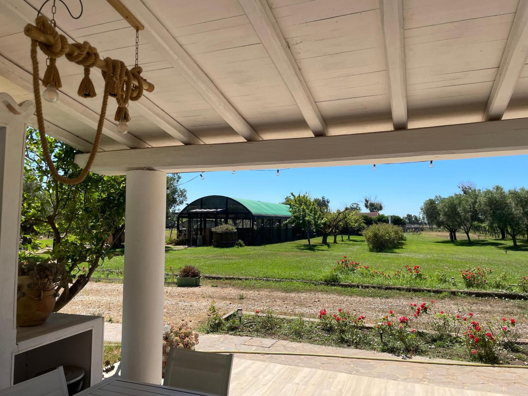 Villa Olga Tarquinia Extérieur photo